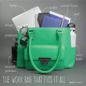 damsel in defense Covert Kari Purse.